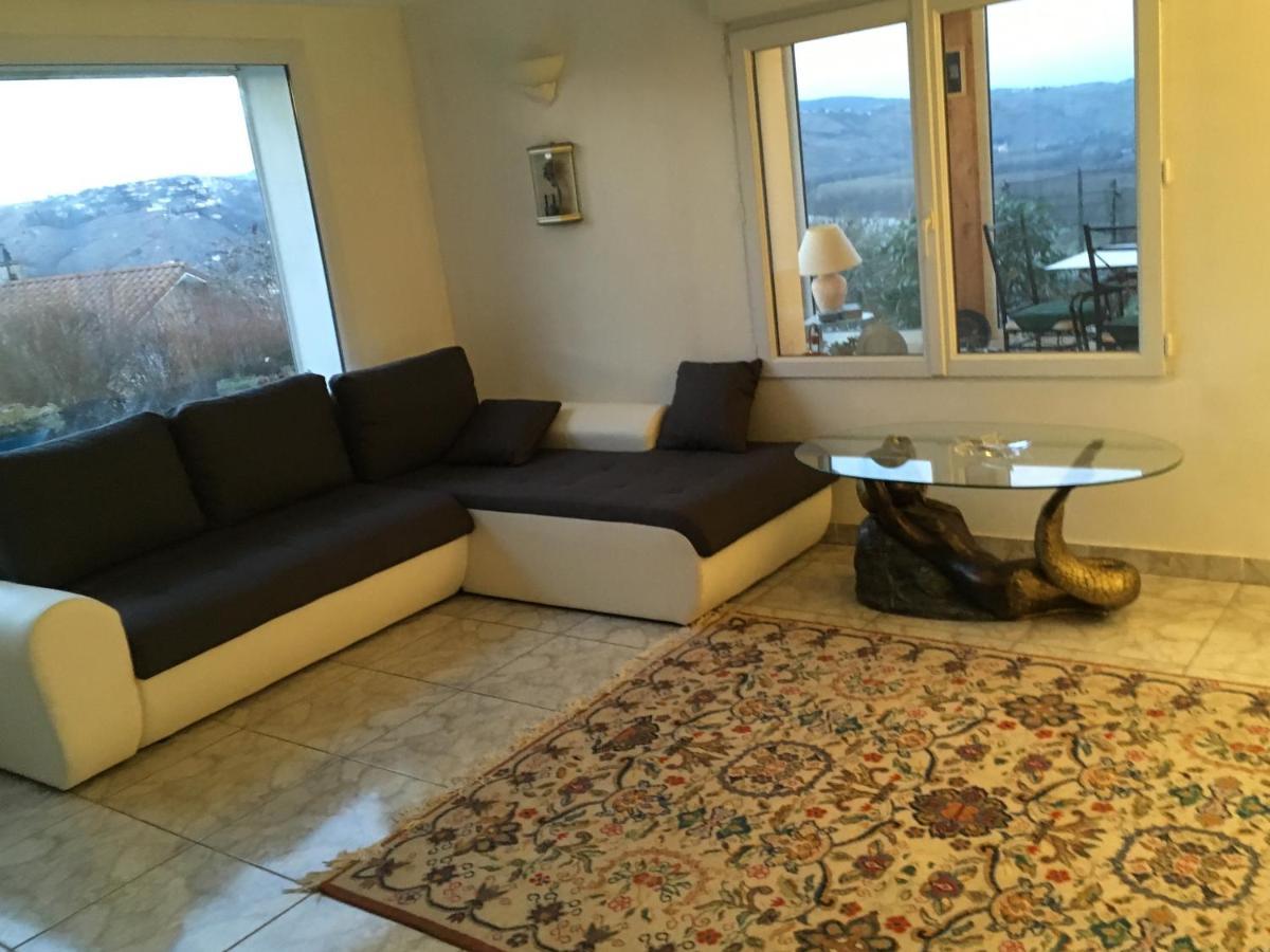 Villa Panoramique Saint-Clair-du-Rhone Екстер'єр фото