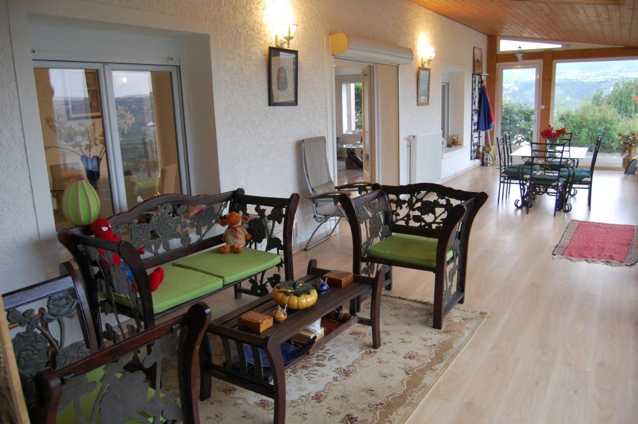 Villa Panoramique Saint-Clair-du-Rhone Екстер'єр фото